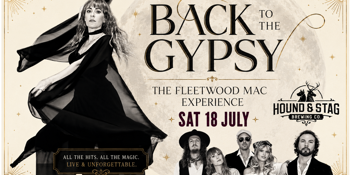 BACK TO THE MAC THE FLEETWOOD MAC EXPERIENCE