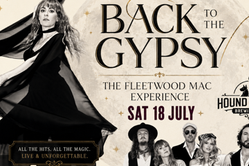 BACK TO THE MAC THE FLEETWOOD MAC EXPERIENCE