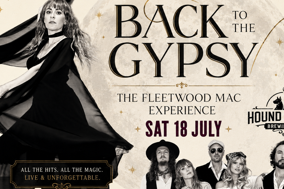 BACK TO THE MAC THE FLEETWOOD MAC EXPERIENCE
