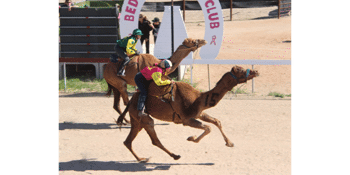 Bedourie Camel & Pig Races 2021