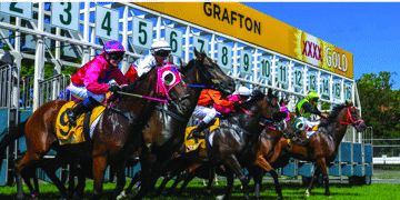 Image for CRJC Coutts Crossing Cup & Jockey's Re-Union Race Day