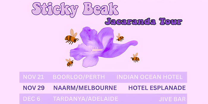 Sticky Beak 'Jacaranda' Tour | Scarborough