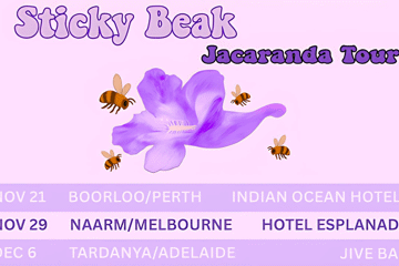 Sticky Beak 'Jacaranda' Tour | Scarborough