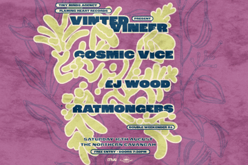 FLAMING HEART RECORDS PRESENTS: VINTED VINEER | COSMIC VICE | EJ WOOD | RATMONGERS - FREE ENTRY | BYRON BAY
