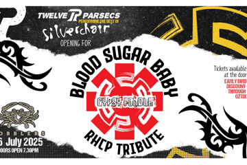 Blood Sugar Baby : Red Hot Chili Peppers Tribute