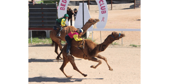 CANCELLED - Bedourie Camel & Pig Races 2020