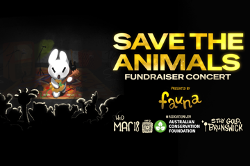 SAVE THE ANIMALS