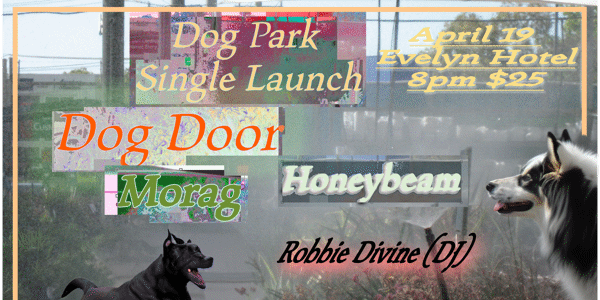 Event image for Dog Door + More