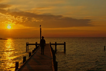 COMMON WEALTH: Castlemaine Premiere + Live Q&A with director Kane Guglielmi