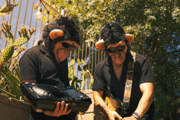 The Mad Monkeys