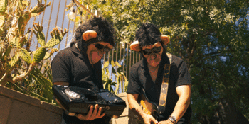 The Mad Monkeys
