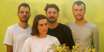 The Wattles