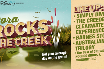 Dora Rocks The Creek