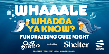 Whaaaale Whadda Ya Know? A Quiz Night to Protect Our Ocean Giants