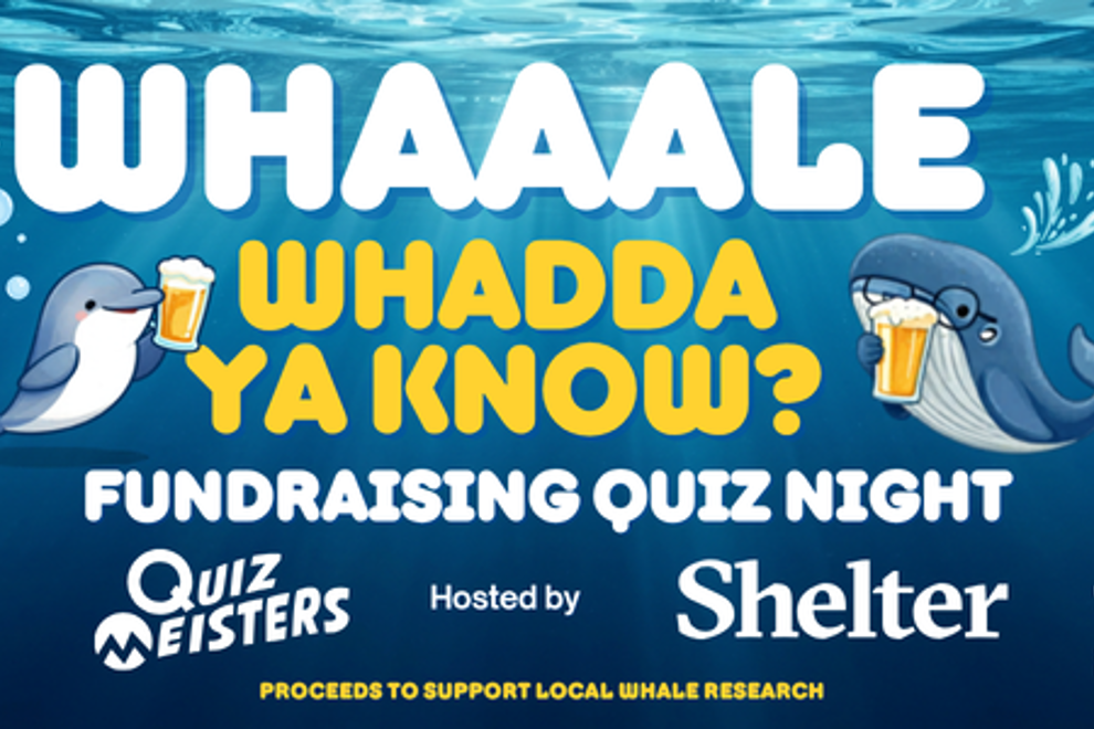 Whaaale Whadda Ya Know? A Quiz Night to Protect Our Ocean Giants