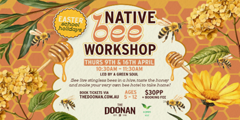 Native Bee Workshop