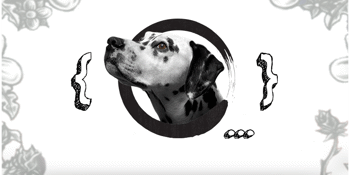The Lou Dogs - A Tribute to Sublime