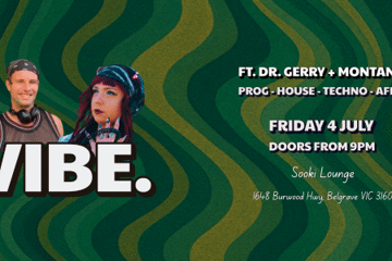 VIBE - FT.  DR.JERRY & MONTANA