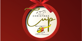 Christmas Cup - A WRHS Fundraiser