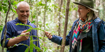 Walking With Macadamias at GourMay Mary Valley