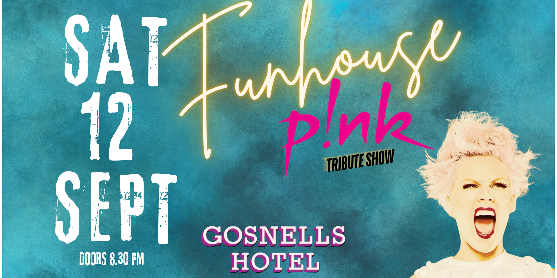 Pink - Funhouse Tribute Show