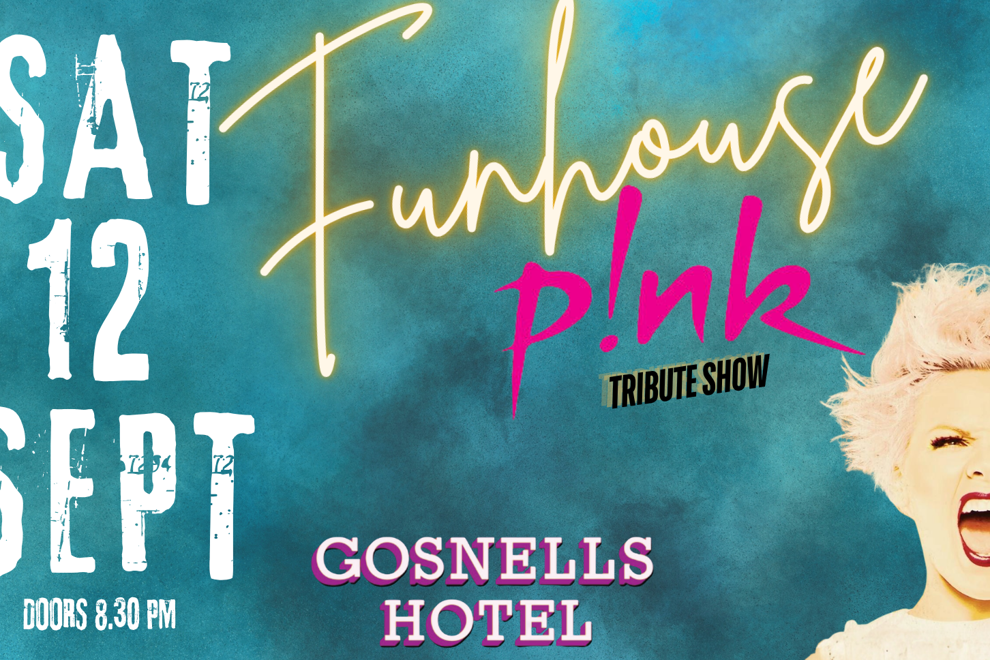 Pink - Funhouse Tribute Show