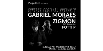 Synergy Festival Preparty
