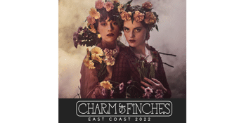 Charm of Finches