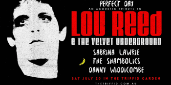 Lou Reed & The Velvet Underground Tribute | Perfect Day