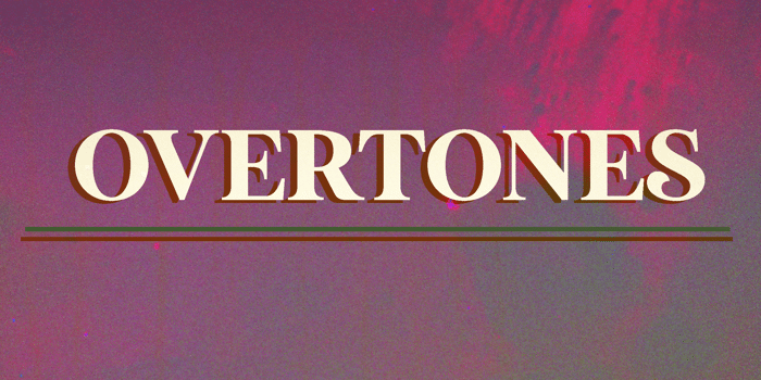 OVERTONES w/ Rachel Lewindon + Birdsnake