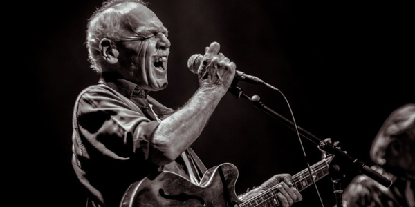 DAVE HOLE live at Theatre Royal - Concert poster