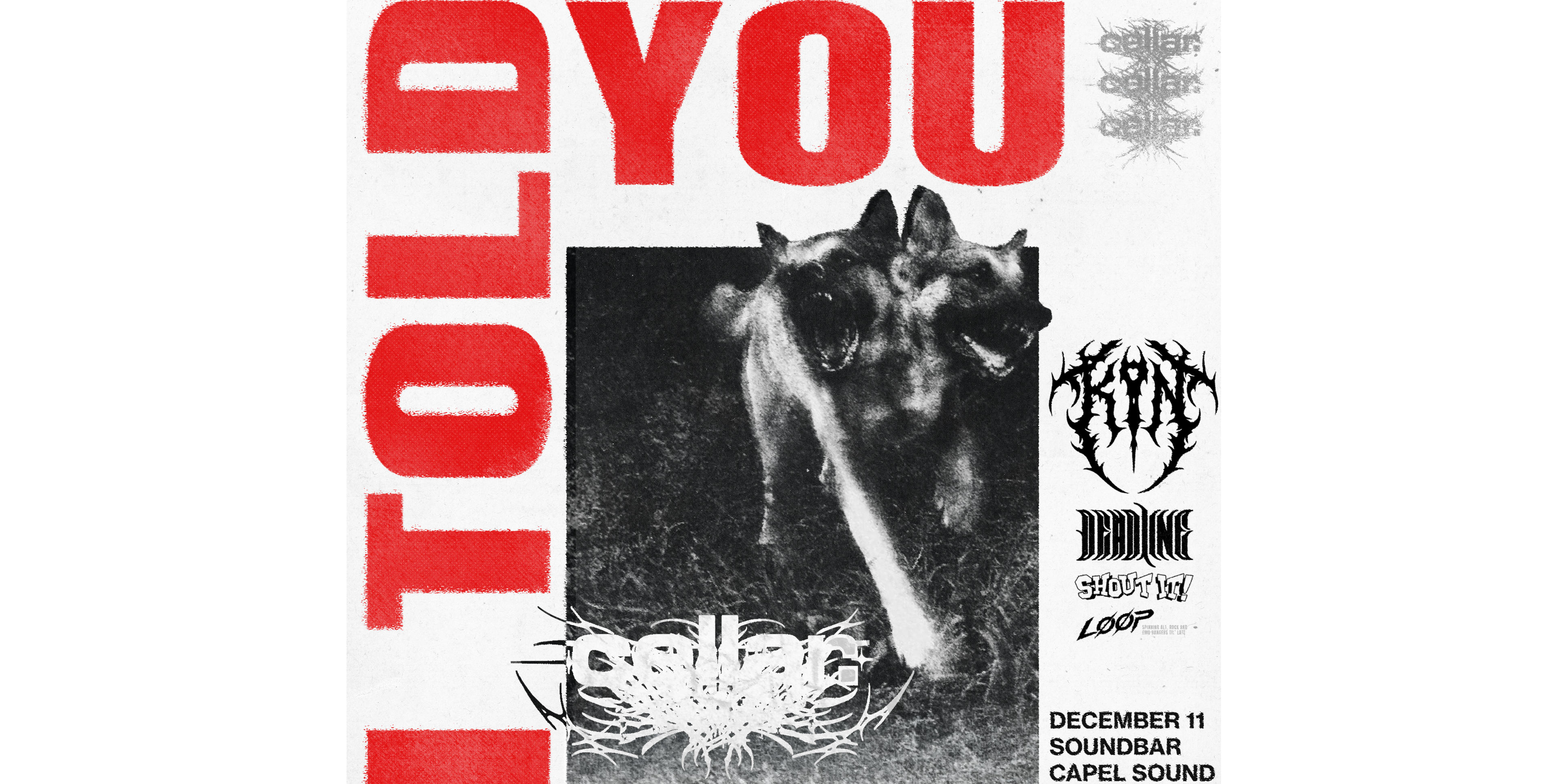 Cellar. I Told You Release