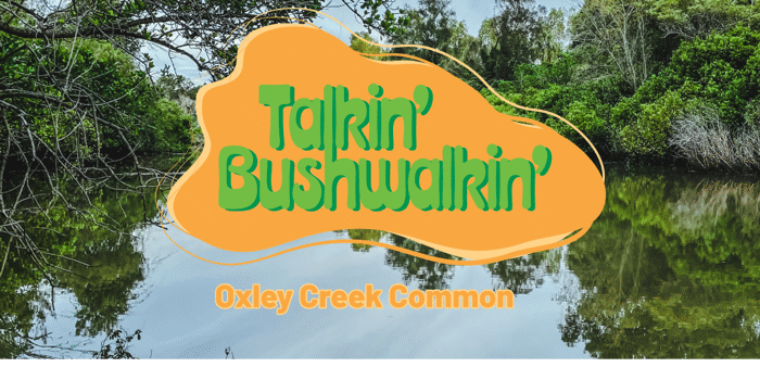 Talkin' Bushwalkin' | Group Beginner Walk