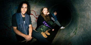 Homo Bergensis: Flower Field Folly and Friends at The Bergy