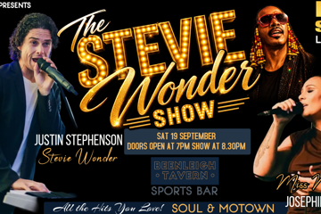 The Stevie Wonder Show