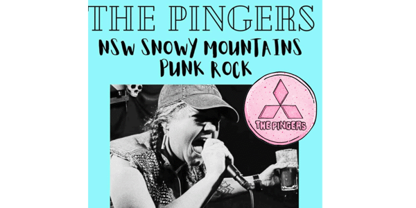 Event image for The Pingers