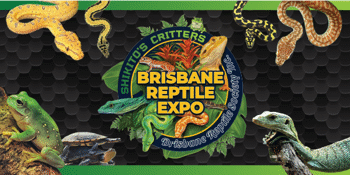 Brisbane Reptile Expo 2025