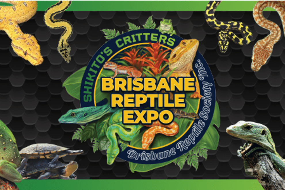 Gig Brisbane Reptile Expo 2025