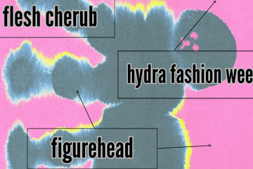 Flesh Cherub + Hydra Fashion Week + FigureHead play Last Chance