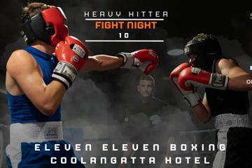 HEAVY HITTER - FIGHT NIGHT 10