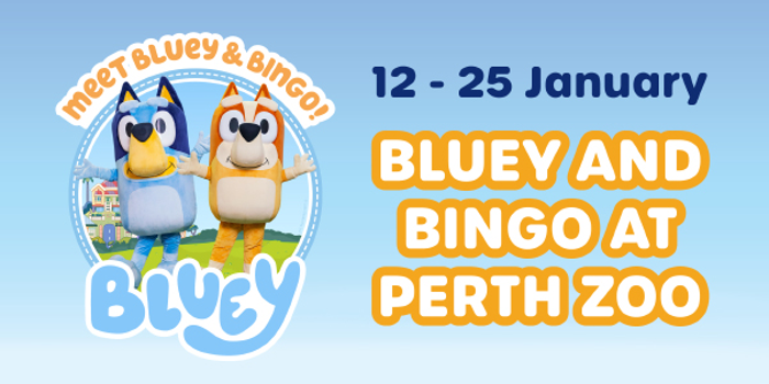 Bluey and Bingo at Perth Zoo