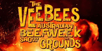 THE VEE BEES