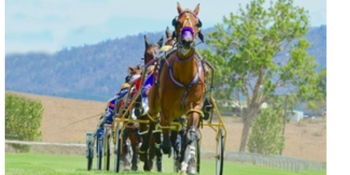 Harness racing Action