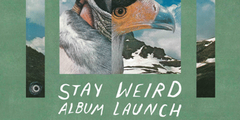 The Rookies 'Stay Weird' Launch