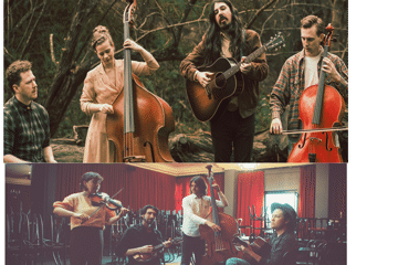 Mark Curtis and The Flannelettes + Rufous Whistler