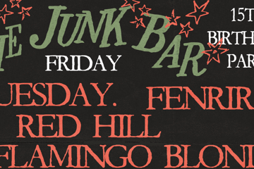 The Junk Bar 15th Birthday Party  ~ Friday