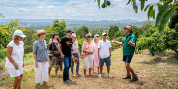 GourMay Mary Valley Farm Trail - Self Drive