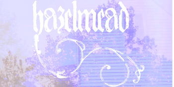 Hazelmead’s SiNA Tour