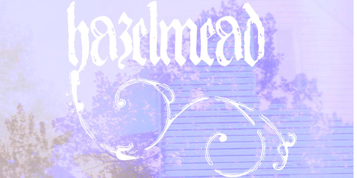 Hazelmeads SiNA Tour