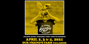 Boogie 14